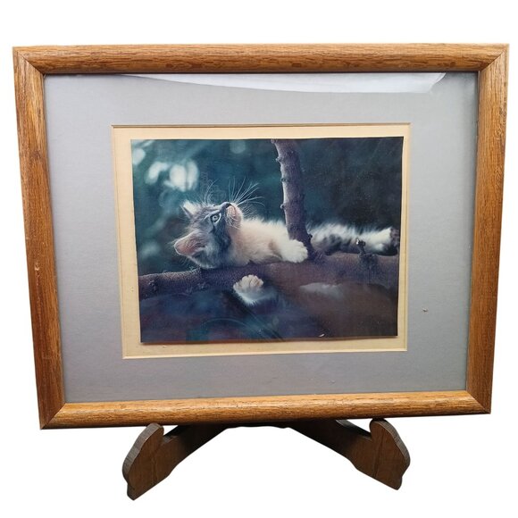 Other - Vintage Wooden Framed Cat Photo Art Adorable Kitten on Branch